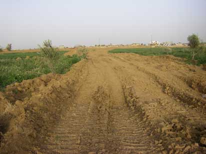 Al-Agha : L’agression israélienne a rasé 1800 hectares de terrains agricoles palestiniens