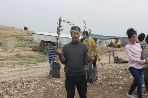 L'armée d'occupation empêche la création d'une route agricole à Burin (vidéo) et campagne pour l'achat d'arbres
