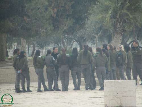 Des dizaines de colons et de soldats de l'occupation prennent d'assaut la mosquée sainte d'el-Aqsa
