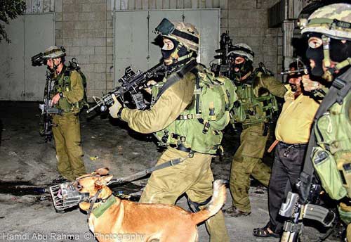 Centre Ahrar : 621 Palestiniens arrêtés en novembre