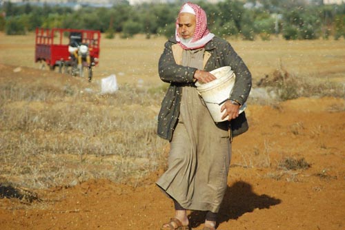 Pourquoi Israël prend-il pour cible les fermiers de Gaza qui sèment le blé à la main ?