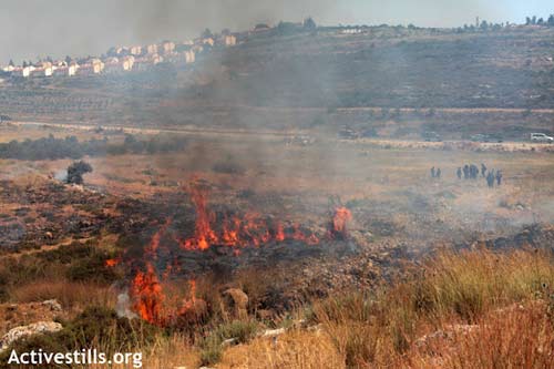 De retour aux manifestations en Cisjordanie : Nabi Saleh, 25.05.2012