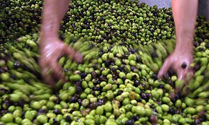 Le Royaume-Uni publie une nouvelle orientation sur lâ€™étiquetage des denrées alimentaires en provenance des colonies illégales en Cisjordanie