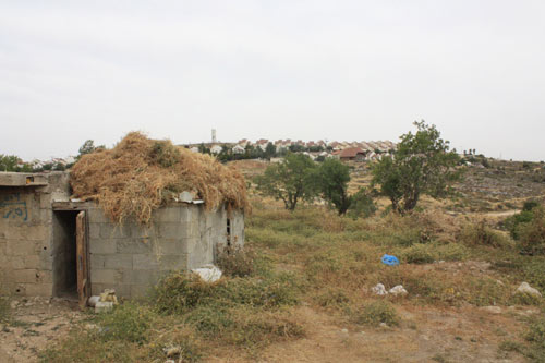 Entre Qaryut et Jaloud : un nettoyage ethnique systématique