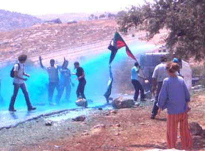La manifestation Contre le Mur à Bil'in devient bleue