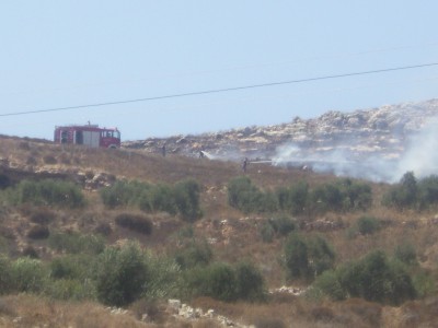 Des colons se déchainent à Burin, en tirant et en mettant le feu aux oliviers