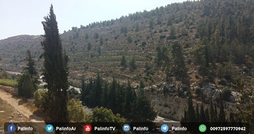 Colonisation : Bennett annonce la création de 7 'réserves naturelles' en Cisjordanie occupée