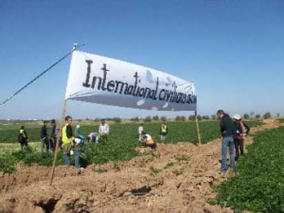 Les forces israéliennes tirent sur des agriculteurs palestiniens et des internationaux dans la région d'Al Faraheen (VIDEO)
