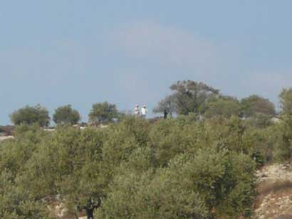 Quatrième journée d’intimidation des colons illégaux israéliens à Azmut