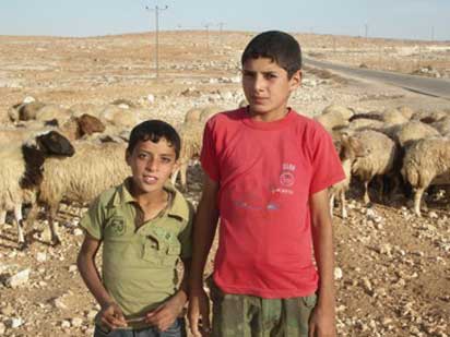 Les colons attaquent deux jeunes garçons à Susiya