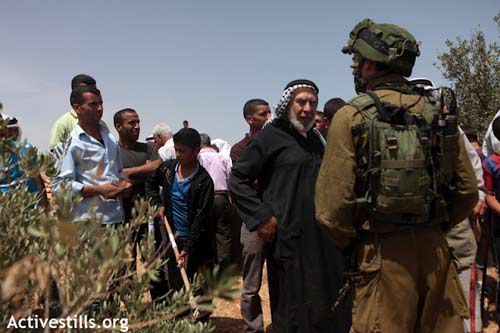 Se réapproprier la terre : un week-end d'actions directes et de sumoud en Cisjordanie, 28.05.2012