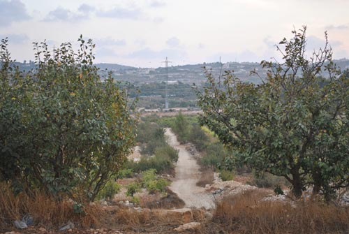 Une nouvelle route de contournement prévue sur les terres de Beit Ommar et de Schoukh (vidéo)