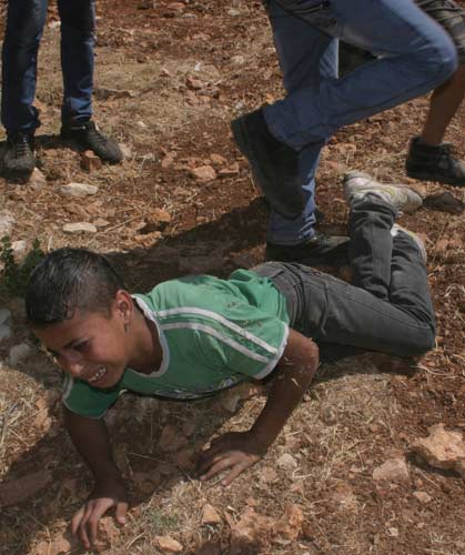 Un enfant et deux adolescents kidnappés en pleine nuit à Beit Ommar par les forces de l'occupation