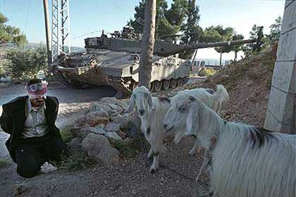 Quand faire paître les moutons devient une action de résistance non violente