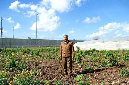 Résistance à l'agriculture coloniale en Palestine : Fayez Taneeb, de Tulkarem à Bordeaux