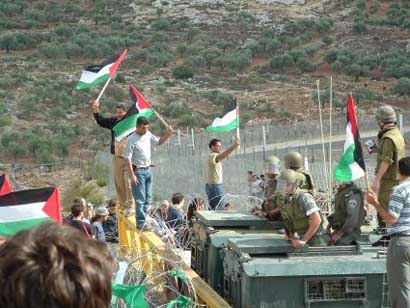 Bilin : manifestants attaqués par les Forces d'Occupation Israélienne