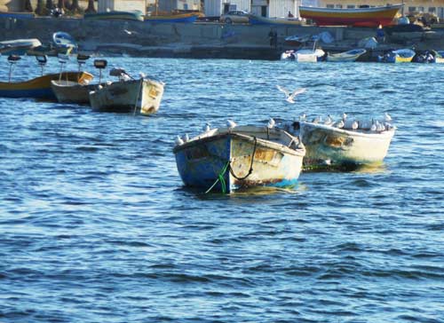 'Somoud' et la mer