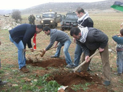 Des villageois harcelés par l'armée israélienne alors qu'ils tentent de travailler leur terre