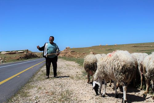 Les agriculteurs d'Hébron luttent pour leur existence face au changement climatique