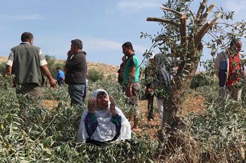 Plusieurs Palestiniens atteints par des tirs à la tête dans des affrontements avec les troupes israéliennes