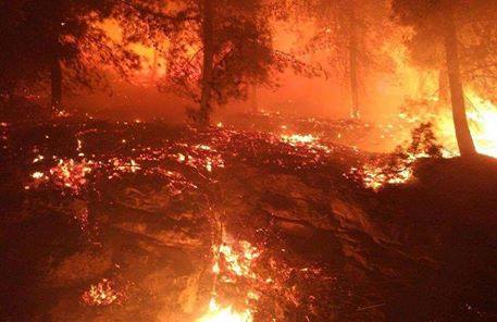 Des feux de forêt en Palestine (appelée aussi ‘Israël’)