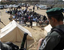 Les colons se livrent à des rituels talmudiques devant la maison palestinienne confisquée