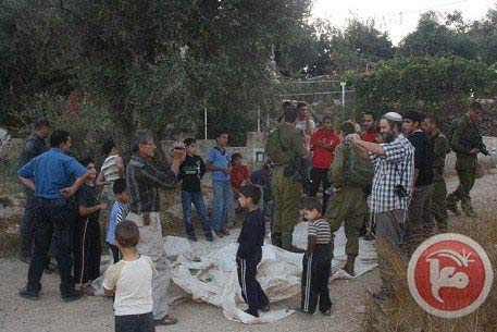 Des colons filmés en train de voler des olives à Al-Khalil/Hébron (vidéo) et 2 Palestiniens blessés à Burin (vidéo) (MàJ 12.10.2012)