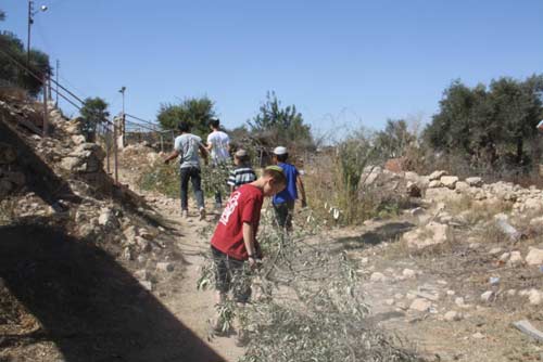 Des colons illégaux enferment une famille palestinienne chez elle, lui volent sa récolte d'olives
